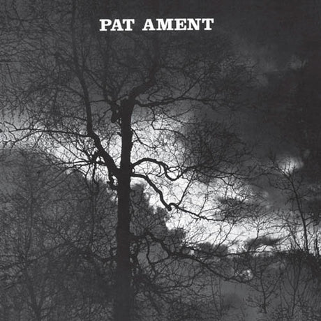 Pat Ament - Songs  |  Vinyl LP | Pat Ament - Songs  (2 LPs) | Records on Vinyl