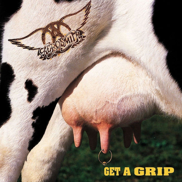 Aerosmith - Get A Grip |  Vinyl LP | Aerosmith - Get A Grip (2 LPs) | Records on Vinyl