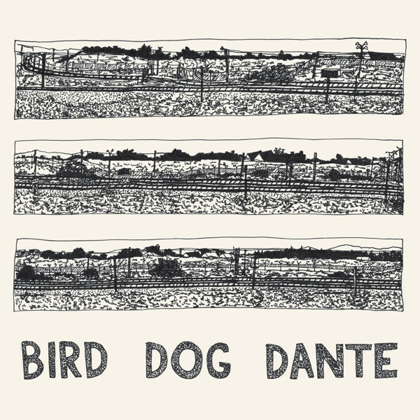 John Parish - Bird Dog Dante |  Vinyl LP | John Parish - Bird Dog Dante (LP) | Records on Vinyl