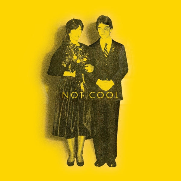  |  Vinyl LP | Tim Easton - Not Cool (LP) | Records on Vinyl