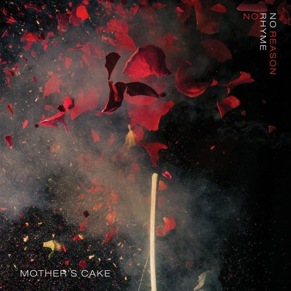 Mother's Cake - No Rhyme No Reason |  Vinyl LP | Mother's Cake - No Rhyme No Reason (2 LPs) | Records on Vinyl