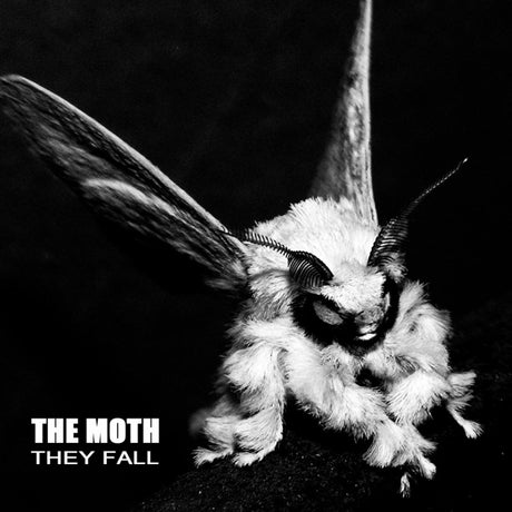  |  Vinyl LP | Moth - They Fall (LP) | Records on Vinyl